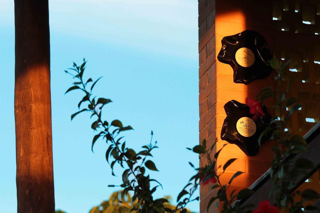 Casa De Frida Galeria *